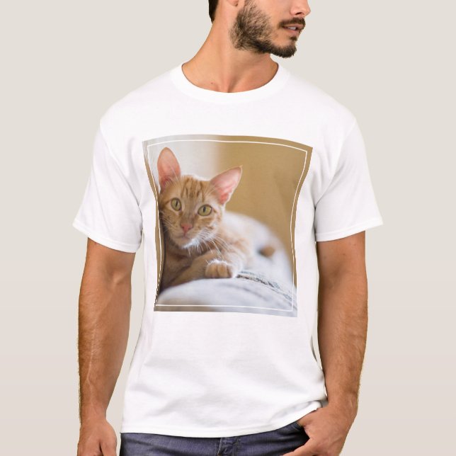 Kitten Lying On The Couch T-Shirt (Front)