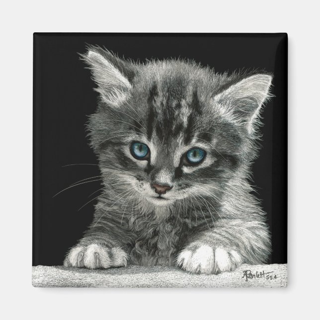 Kitten Magnet - "Bright Future" (Front)