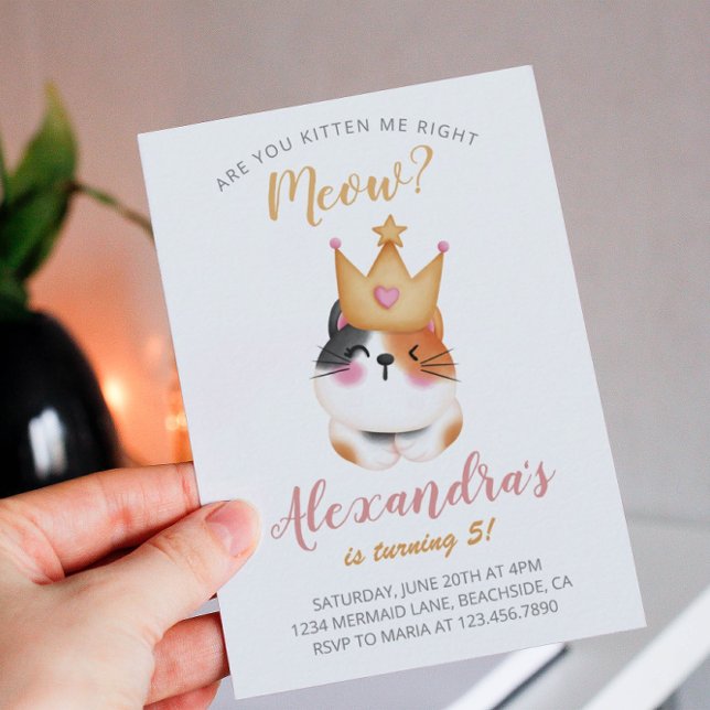 Kitten Meow Pink Crown Girl Kitty Cat Birthday (Creator Uploaded)