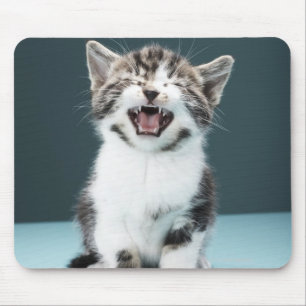 Kitten meowing mouse pad