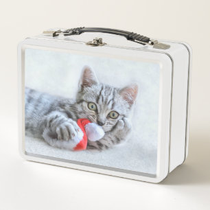 Kitten Metal Lunch Box