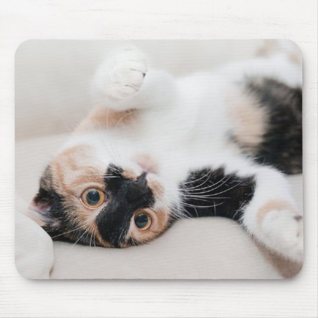 Kitten Mouse Pad (Front)