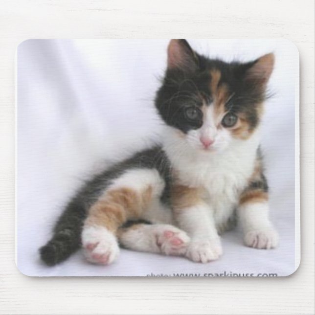 kitten mouse pad (Front)