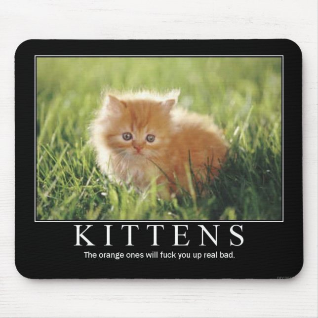 Kitten Mousepad (Front)