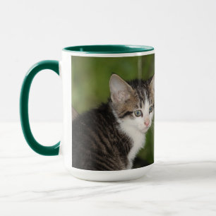 Kitten Mug