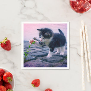 Kitten Napkin