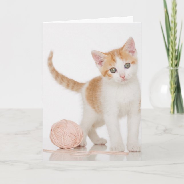 Kitten Next To Ball Of String Card (Front)