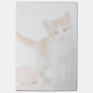 Kitten Next To Ball Of String Post-it Notes
