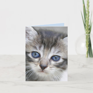 Kitten Note Card