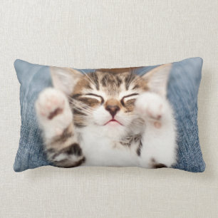Kitten On My Lap Lumbar Cushion