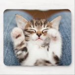 Kitten On My Lap Mouse Pad<br><div class="desc">Kitten on lap</div>