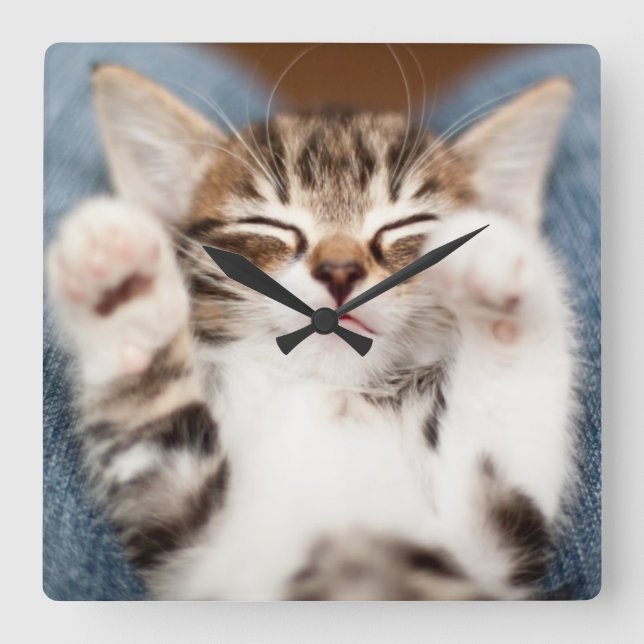 Kitten On My Lap Square Wall Clock (Front)