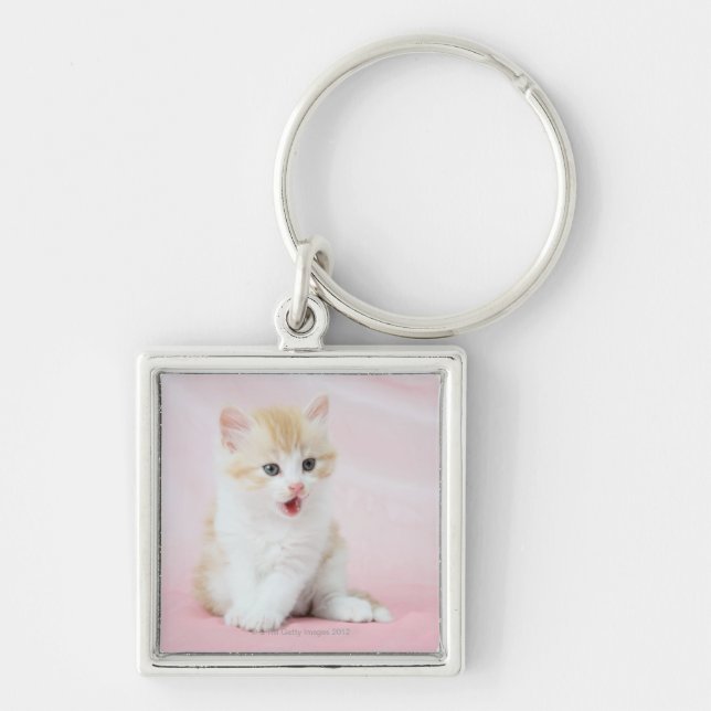 Kitten on Pink Background Key Ring (Front)
