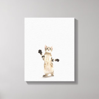 Kitten on White Background Canvas Print