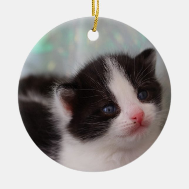 Kitten ornament (Front)