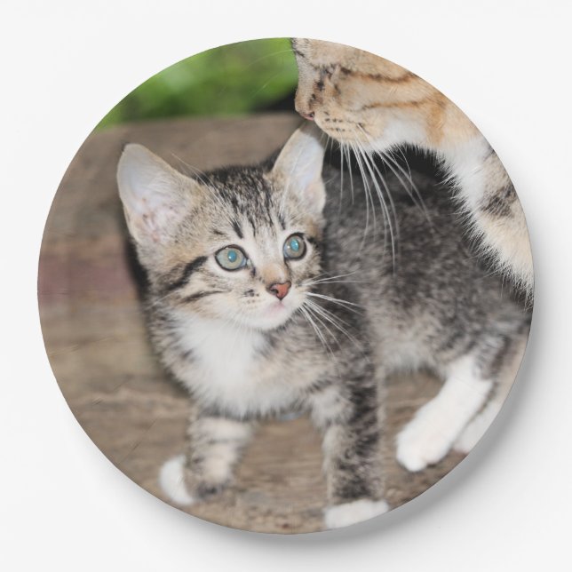 Kitten Paper Plate (Front)