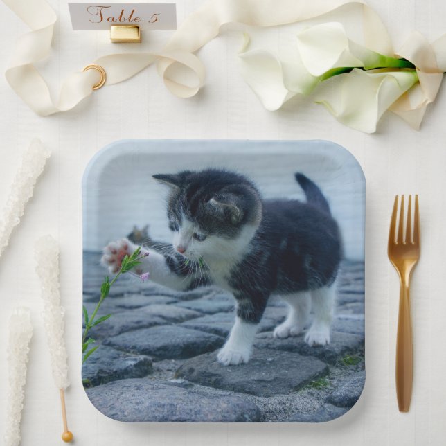 Kitten Paper Plate (Wedding)