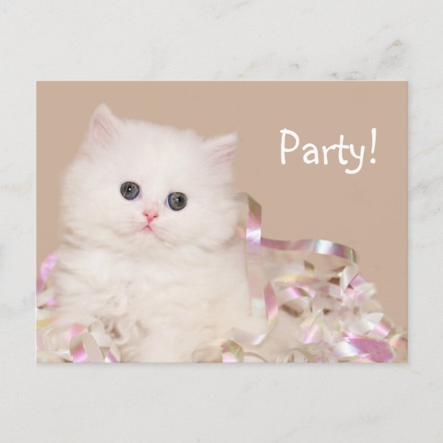 Kitten party! invitation postcard (Front)