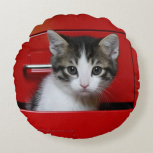 Kitten Peeking Round Cushion