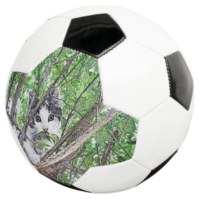 Kitten Pencil Drawing,  Soccer Ball (Three Quarter)