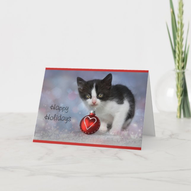 Kitten Personalised Holiday Card (Front)
