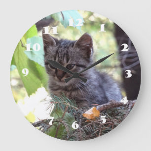 Kitten Photo Baby Cat Wall Clock