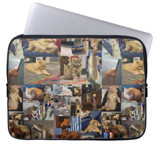 Kitten Photo Collage, Laptop Sleeve
