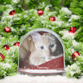 Kitten Photo Text Name,  Replace, Front And Back  Snowglobe