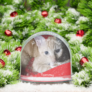Kitten Photo Text Name,  Replace, Front And Back  Snowglobe