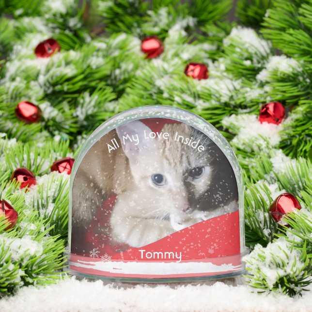 Kitten Photo Text Name,  Replace, Front And Back  Snowglobe (Christmas)
