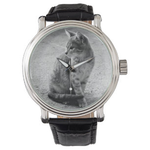 Kitten Photo Watch