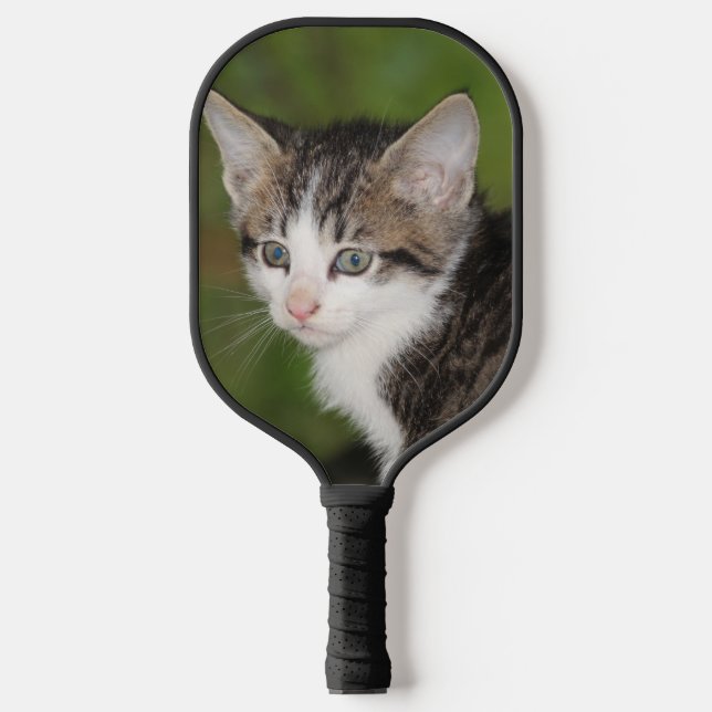 Kitten Pickleball Paddle (Front)