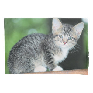 Kitten Pillowcase