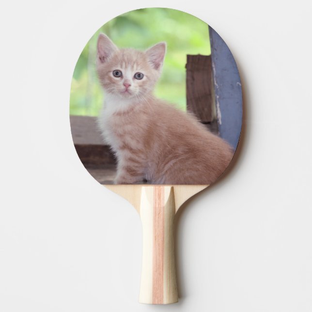 Kitten Ping Pong Paddle (Front)