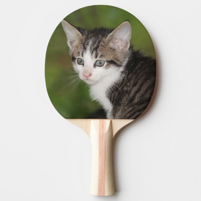 Kitten Ping Pong Paddle (Front)