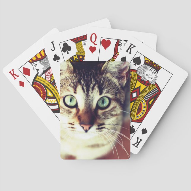 Kitten Playing Cards (Back)