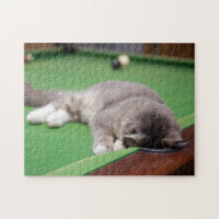 Kitten Playing Pool