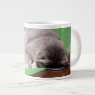 Kitten Playing Pool Large Coffee Mug