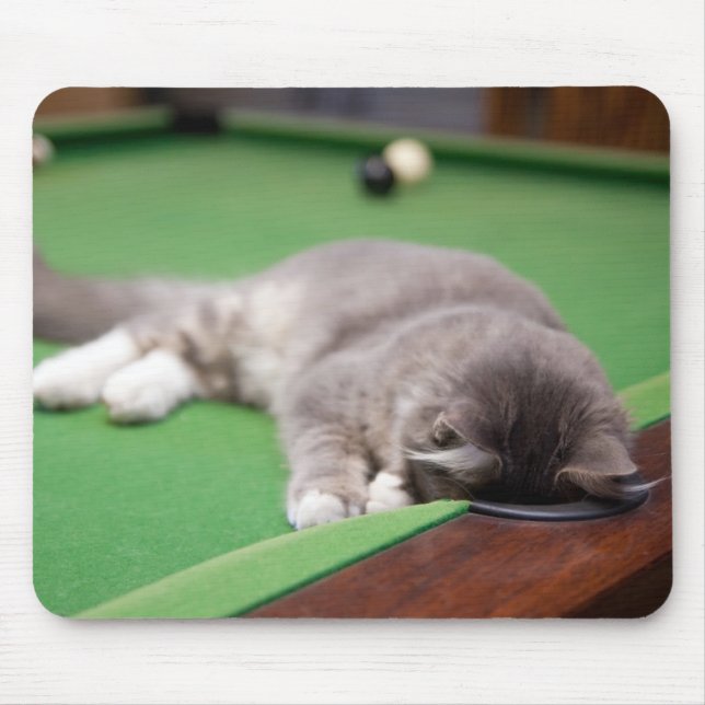 Kitten Playing Pool Mouse Pad (Front)
