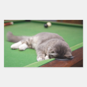 Kitten Playing Pool Rectangular Sticker