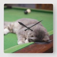 Kitten Playing Pool