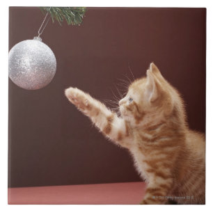 Kitten playing with Christmas bauble on tree Tile
