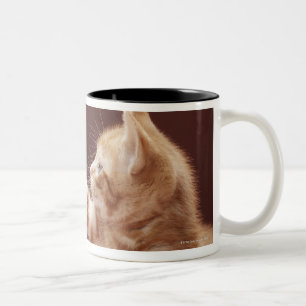Kitten Playing with Ornament Two-Tone Coffee Mug