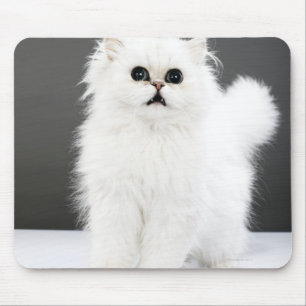 Kitten Portrait Mouse Pad