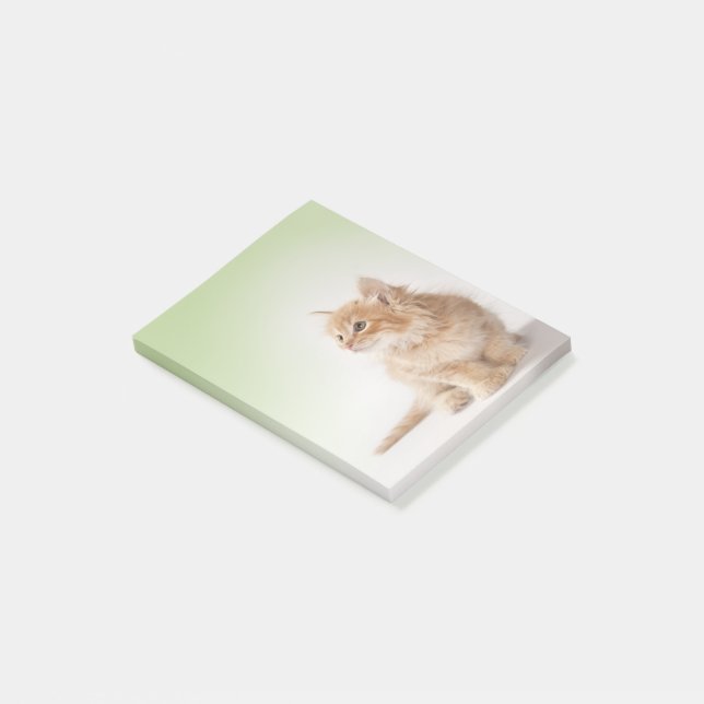 Kitten Post-It Note (Angled)