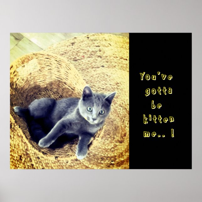 Kitten  poster (Front)