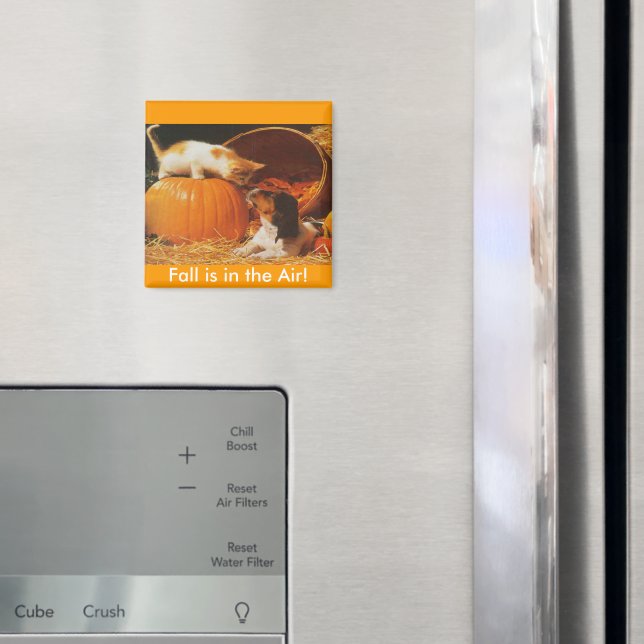 Kitten, Pumpkin and Puppy Magnet (In Situ (Fridge))
