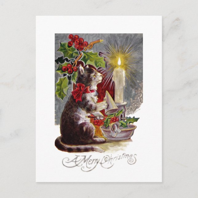 Kitten Putting Out a Candle Postcard (Front)