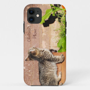 Kitten Reading Wall iPhone 5 Case