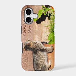 Kitten Reading Wall iPhone 5 Case